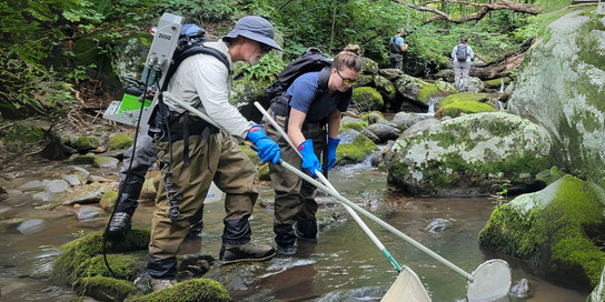 Zwei Menschen arbeiten im Fluss.