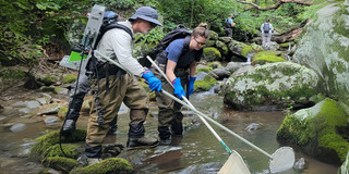 Two people working in a river.