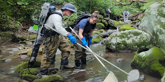 Two people working in a river.