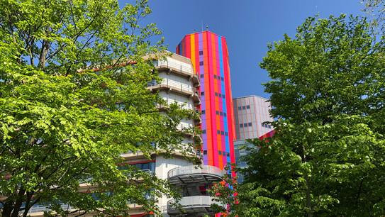 Photo of the Essen campus framed by trees
