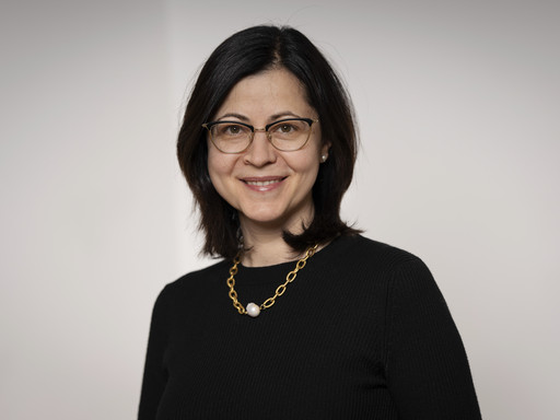 Portrait Professorin Dana Branzei
