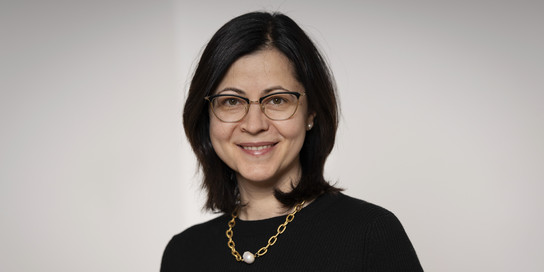 Portrait Professor Dana Branzei