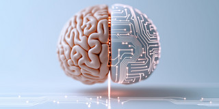 Stilistic Brain