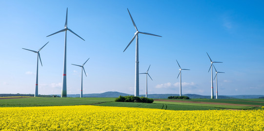 Leicht hügelige Landschaft mit einem blühenden Rapsfeld im Vordergrund, etwas weiter hinten stehen acht Windräder